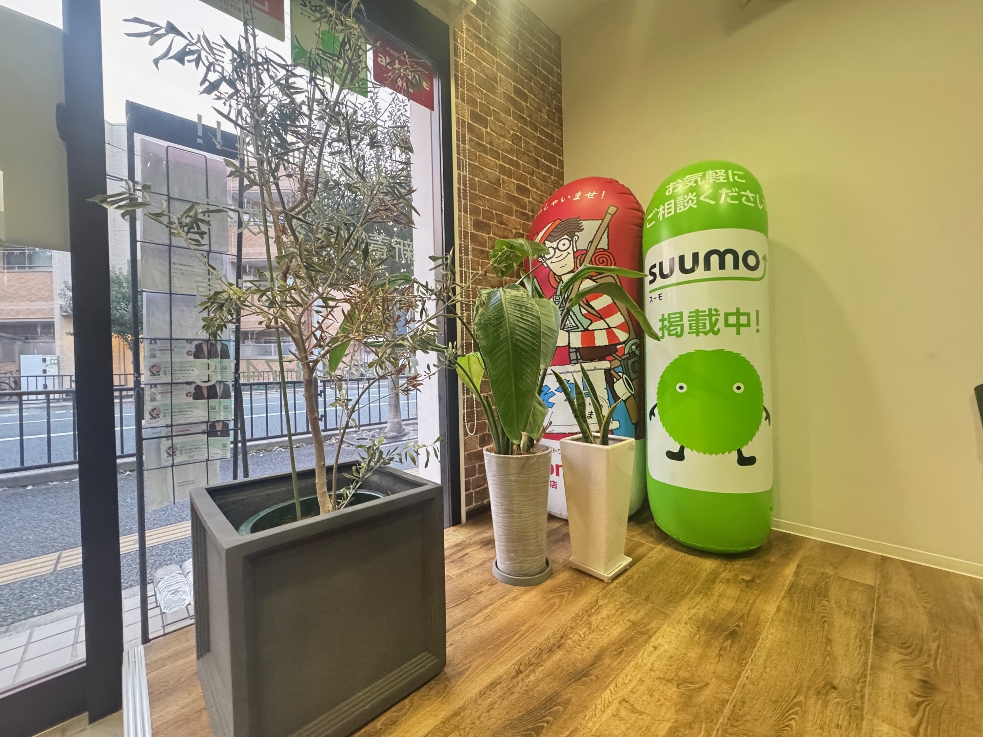 観葉植物とディスプレイ